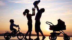 Trust Financial Solutions ltd Insurance Options